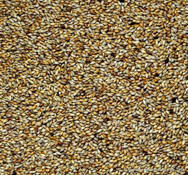 Malt Grain Amber 1kg - Joe White — brewing grain for homebrewing
