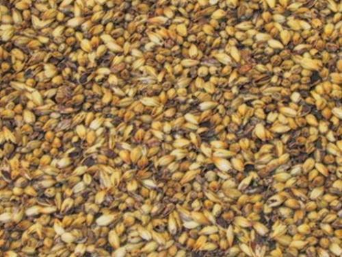 Crystal Medium Grain (EBC 140-160)