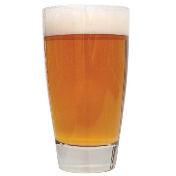 AHB All Grain Kit Citra Pale Ale — all grain homebrew kit