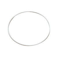 Grainfather G30 Silicon Seal for Perforated Grain Plate 300mm Top/Bottom Grain Plate  image