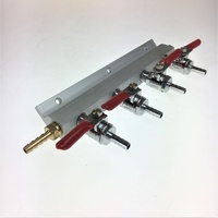 4 Way Gas Distributor / Dispenser Manifold image