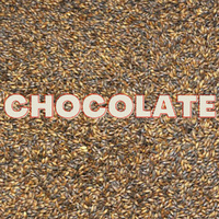 Chocolate Malt Grain (EBC 500-800) image