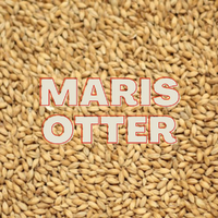 Maris Otter Malt Grain (EBC 4-6) image