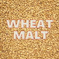 Wheat Malt Grain (EBC 3.5-5) image