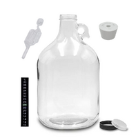 Glass Bottle Demijohn  5L with bung, airlock and thermometer & screw cap image