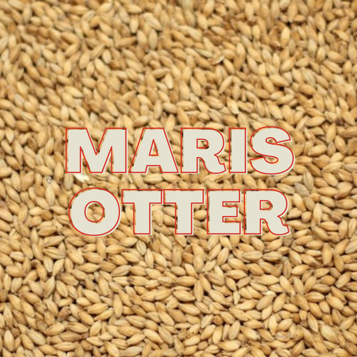 Malt Grain Maris Otter 5kg