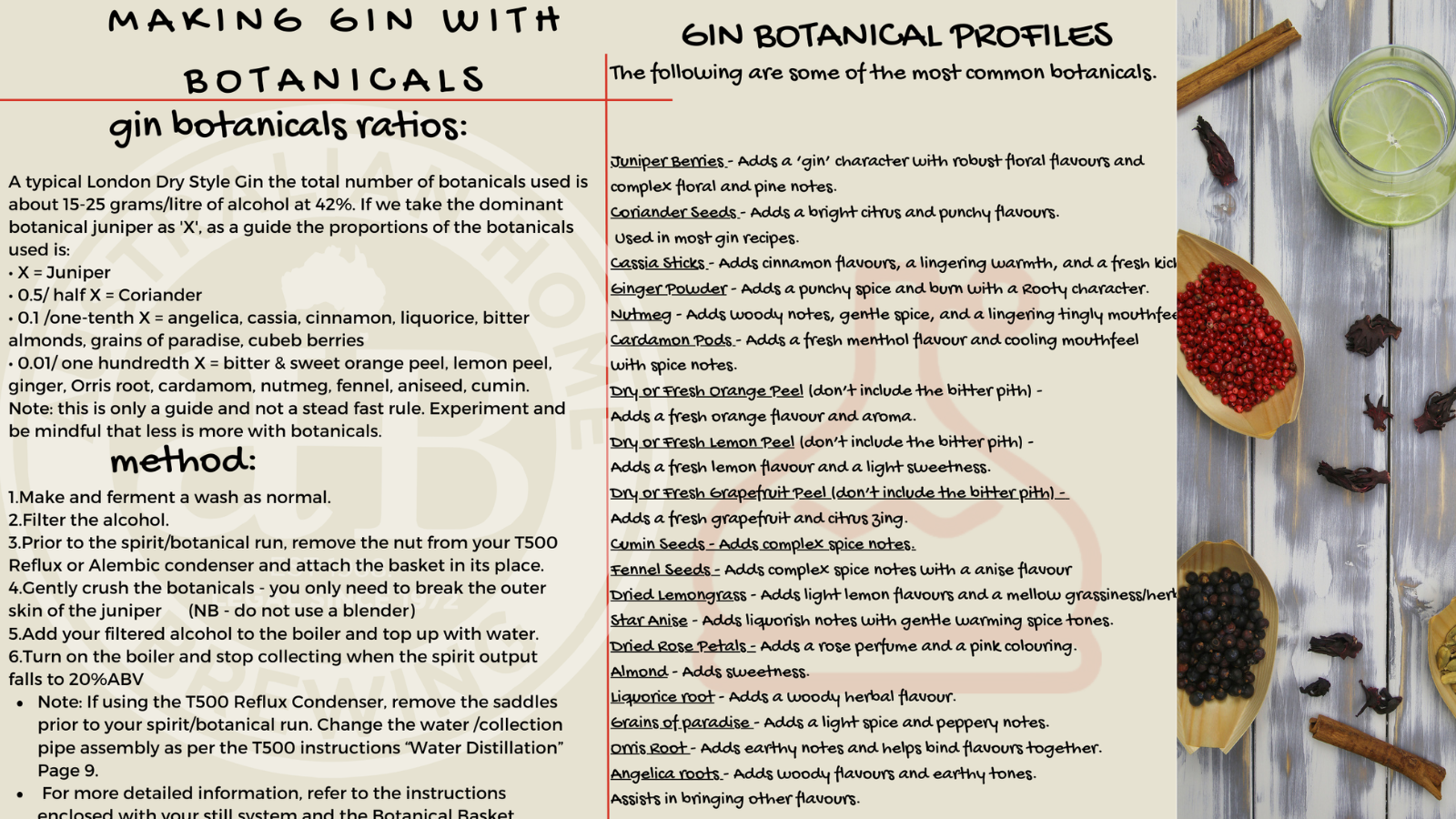 Gin botanicals A complete Guide 