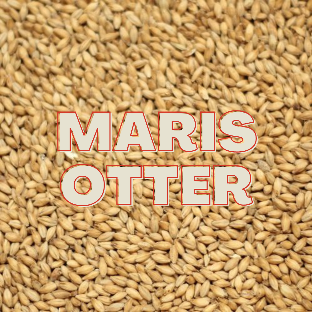 Maris Otter Malt Grain (EBC 4-6)