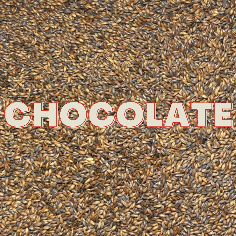 Chocolate Malt Grain (EBC 500-800) — brewing grain for homebrewing