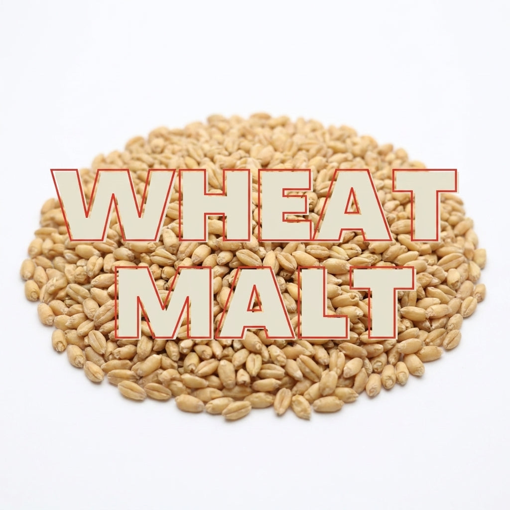 Wheat Malt Grain (EBC 3.5-5)